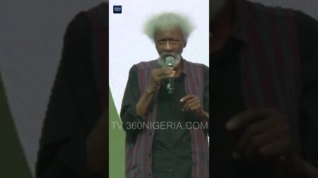 Wole Soyinka hits at Tinubu over Seyi Tinubu’s security details