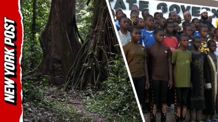 Here’s What Happened to 100 Nigerian Students Abducted From School, Forced to Sleep in the Forest Here’s What Happened to 100 Nigerian Students Abducted From School, Forced to Sleep in the Forest