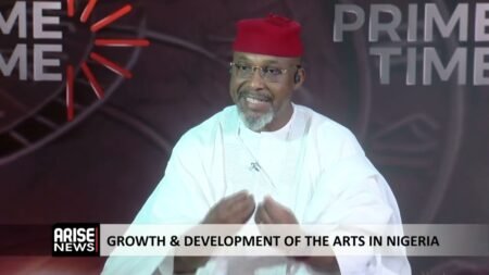 Nigeria’s War With Terrorism Needs Special Forces, Not More Soldiers and Policemen – Chidoka Nigeria’s War With Terrorism Needs Special Forces, Not More Soldiers and Policemen – Chidoka