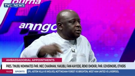 Tinubu Nominates Fmr. INEC Chairman, Fani-Kayode, Reno Omokri, Others As Ambassadors