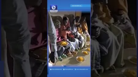 Troops Rescue 12 Abducted Teenage Girls In Borno Troops Rescue 12 Abducted Teenage Girls In Borno