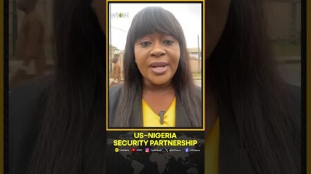 President Tinubu Endorses Nigerian Delegation for Nigeria–US Security Group | WION Shorts