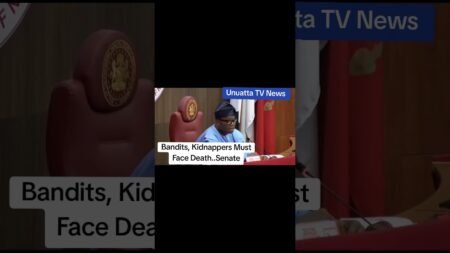 Bandits, Kidnappers Must Face Death..Senate #news #nigeria ##fyp