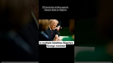 US launches strikes against Islamic State in Nigeria US launches strikes against Islamic State in Nigeria