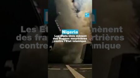 Nigeria : les Etats-Unis mènent des frappes meurtrières contre l’État islamique • FRANCE 24 Nigeria : les Etats-Unis mènent des frappes meurtrières contre l’État islamique • FRANCE 24