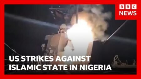 US launches strikes against Islamic State in Nigeria | BBC News