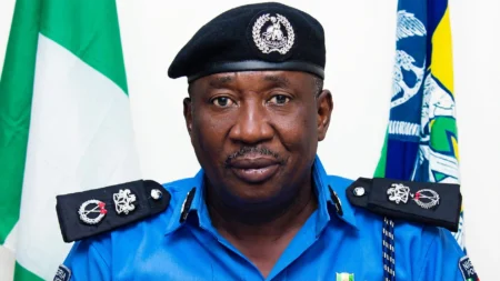 Police confirm killing of driver, passengers’ abduction in Imo
