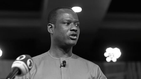 Oyedele says 2026 tax laws will boost small firms, protect low earners