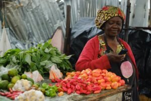 Financial Inclusion In Kaduna State Rises To 66% In Major Milestone, Says Commissioner