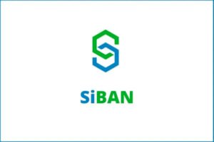 SiBAN New Executive Council To Champion Vision For Nigeria’s Digital Economy SiBAN New Executive Council To Champion Vision For Nigeria’s Digital Economy