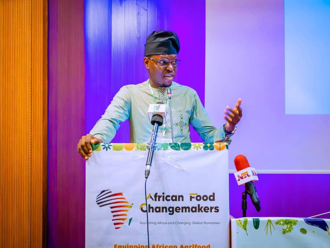 Temi Adegoroye, Executive Chair, African Food Changemakers