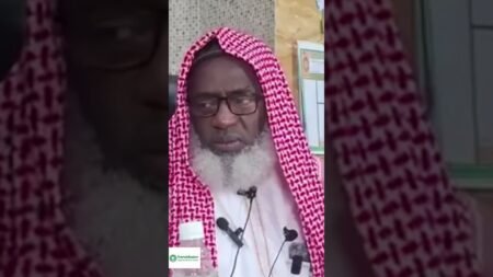 U.S. Strikes Boko Haram, Sheikh Gumi Complains — Nigeria’s Terrorist Sympathizers Exposed Again