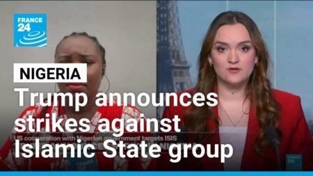 Trump announces strikes in Nigeria against Islamic State group targets • FRANCE 24 English