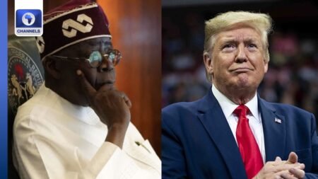 NIgeria Provided Intelligence For US Strike, It Was A Collaborative Effort – FG