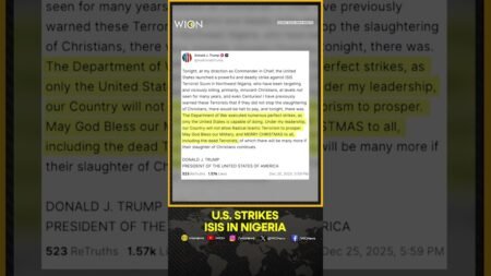 U.S. Launches Airstrikes on Islamic State Targets in Nigeria | WION