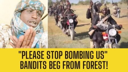 “PLEASE STOP!” Zamfara Bandits Beg Tinubu As Airstrikes Destroy Camps!