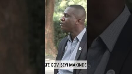 Wike Promised to Destabilise PDP for the President in 2027 — Oyo State Governor, Makinde #viral