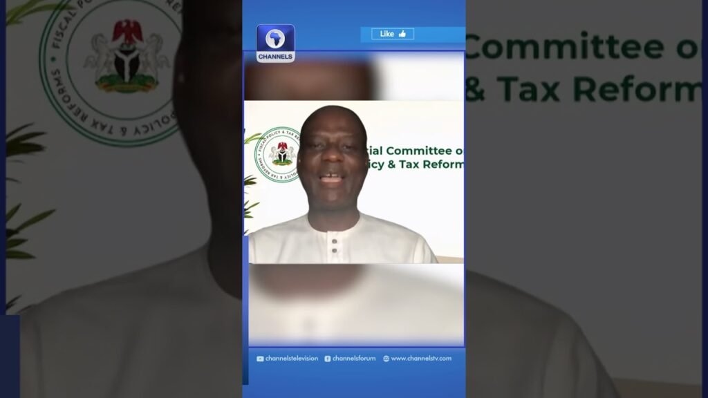 New Tax Laws: Unsuspecting Nigerians Recruited To Fight The Reform – Oyedele