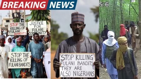 Northern Elites Want Tinubu to stop killing bandits in Nigeria