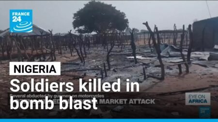 At least nine Nigerian soldiers killed in bomb blast • FRANCE 24 English