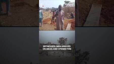 Nigeria: At Least 30 Killed As Gunmen Open Fire At Market In Niger | N18G