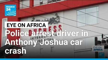 Nigeria police detain driver in fatal Joshua car crash • FRANCE 24 English