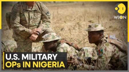 US Launched Air Strikes in Nigeria Targeting I-S Camps on Christmas | WION News