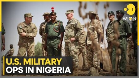 Nigeria: Expect More Strikes on Islamic State | US-Nigera Joint Operation | ISIS | WION News