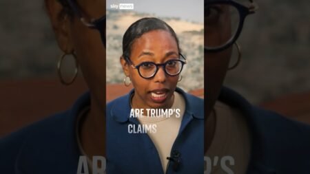 US strikes on Nigeria: We fact checked Trump’s claim of Islamic State killing ‘primarily Christians’