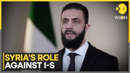 US Strikes I-S In Sokoto Province of Nigeria | WION News