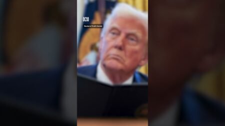 US launches air strike on Islamic State militants in Nigeria | ABC NEWS