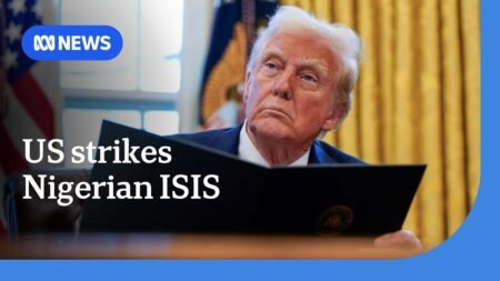 US launches airstrikes on Islamic State militants in Nigeria | ABC NEWS