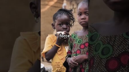 Nigeria’s strategy to combat illegal logging and poaching #news #facts