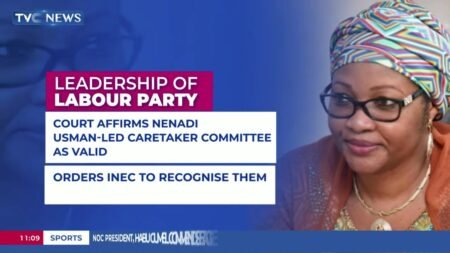 Peter Obi Is Nothing But an Enemy of Nigeria — Arabambi