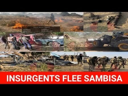 Nigerian Troops Clear Insurgent Camps in Sambisa Forest | What This Means for North-East Security