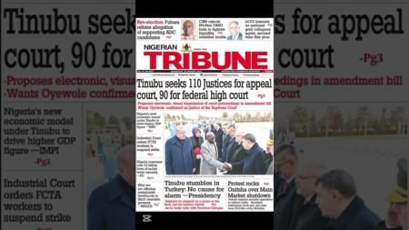 January 28, 2026 Nigerian Dailies Big Stories #trendingshorts #new #youtubeshorts #news #nigeria