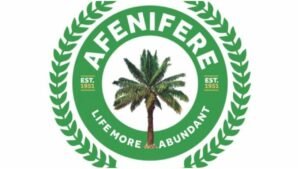 Afenifere frowns at attack on protesting women in Kwara Afenifere frowns at attack on protesting women in Kwara
