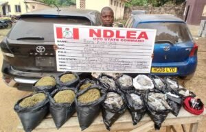 NDLEA arrests 80-year-old repeat offender with 5.7kg of skunk in Akwa Ibom NDLEA arrests 80-year-old repeat offender with 5.7kg of skunk in Akwa Ibom