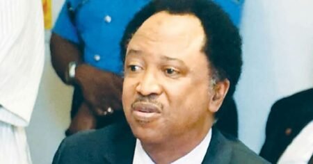 US Exit from WHO Unfortunate, Says Shehu Sani