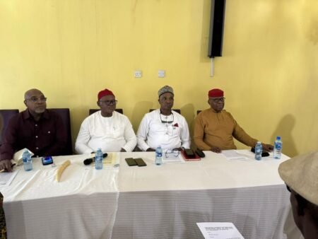 Igbo Agenda Dialogue Launches Political Reawakening Drive, Targets 35 Million Voters By 2027
