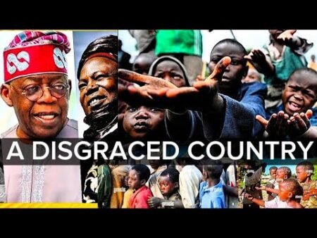 NIGERIA, A DISGRÄCED COUNTRY IS NOW EATING FROM DUSTBIN REFUSE. A NEW TREND IN TINUBU’S NIGERIA NIGERIA, A DISGRÄCED COUNTRY IS NOW EATING FROM DUSTBIN REFUSE. A NEW TREND IN TINUBU’S NIGERIA