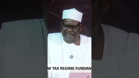 Sen Ndume on President Tinubu Tax law #news #nigeria #comedymovies #tundeednut #duet #viral #love