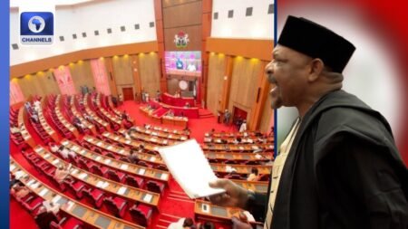 Senate To Hold Briefing On US Strikes In Nigeria As Ningi Queries Alleged NASS Exclusion Senate To Hold Briefing On US Strikes In Nigeria As Ningi Queries Alleged NASS Exclusion