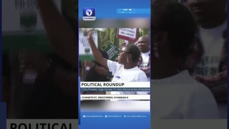 CSOs Protest, Urge Senate To Pass Electoral Act Amendment CSOs Protest, Urge Senate To Pass Electoral Act Amendment