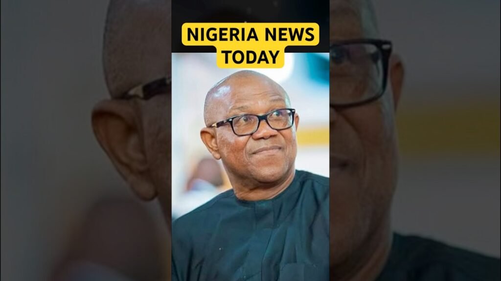 Nigeria News update Today  #nigerianewstoday #shorts #tinubu #inec#tax