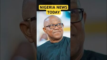 Nigeria News update Today  #nigerianewstoday #shorts #tinubu #inec#tax