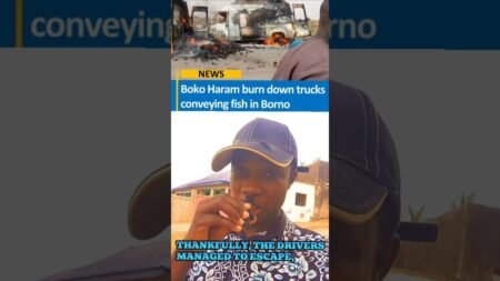 This is a troubling situation. #foryou #trendingvideo #avtmatrix #nigerianews #nigeria This is a troubling situation. #foryou #trendingvideo #avtmatrix #nigerianews #nigeria