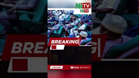 PROTESTS DURING  ELECTORAL ACT PROCEEDINGS #madeinnigeria #nigerianews #nigeriangoverment #election
