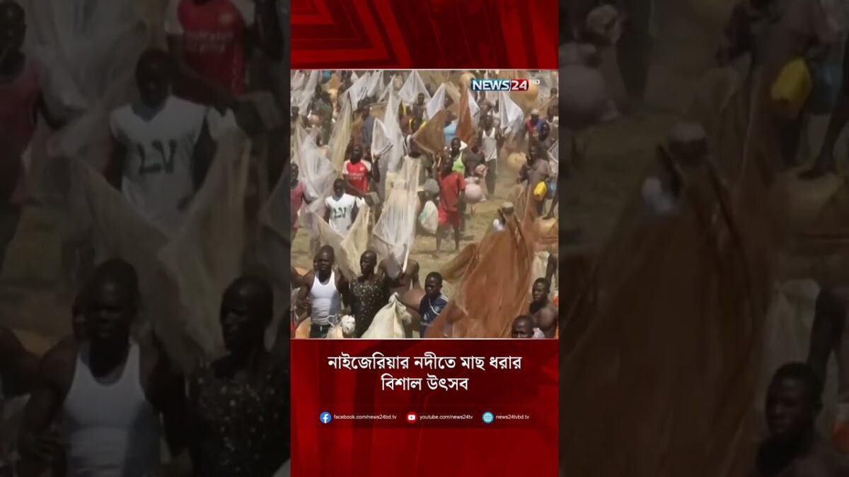 নাইজেরিয়ার নদীতে মাছ ধরার বিশাল উৎসব | Fishing Contest | Nigeria | NEWS24 নাইজেরিয়ার নদীতে মাছ ধরার বিশাল উৎসব | Fishing Contest | Nigeria | NEWS24