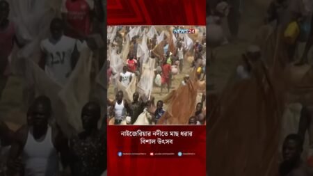 নাইজেরিয়ার নদীতে মাছ ধরার বিশাল উৎসব | Fishing Contest | Nigeria | NEWS24 নাইজেরিয়ার নদীতে মাছ ধরার বিশাল উৎসব | Fishing Contest | Nigeria | NEWS24
